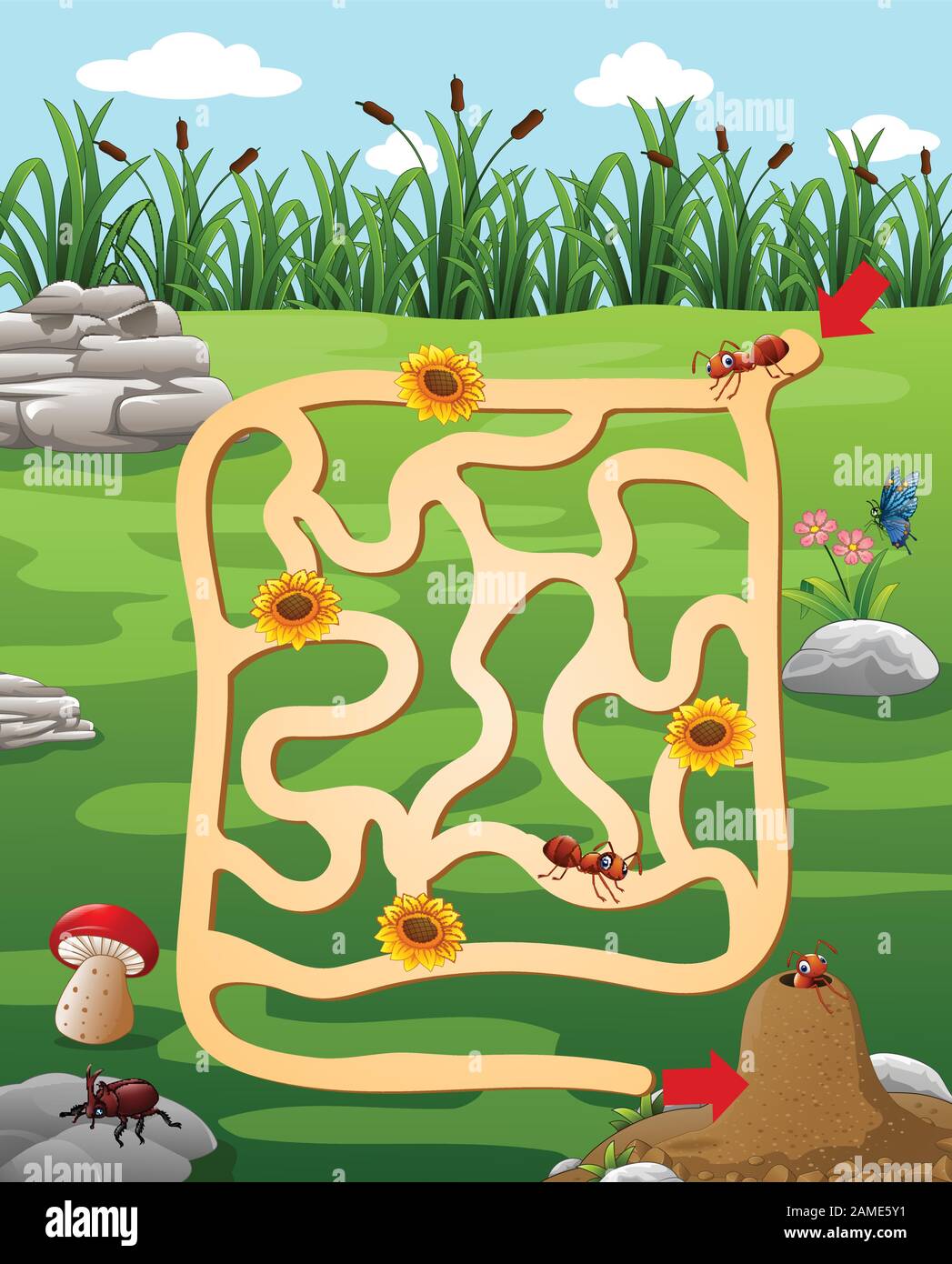 Help the ant to find the ant hill Stock Vector Image & Art - Alamy