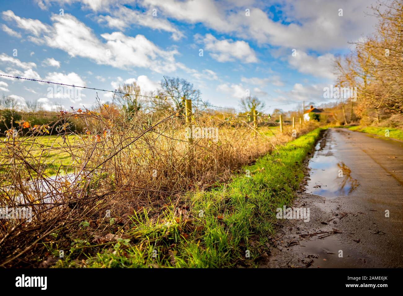 Grass growing along rural road hi-res stock photography and images - Alamy