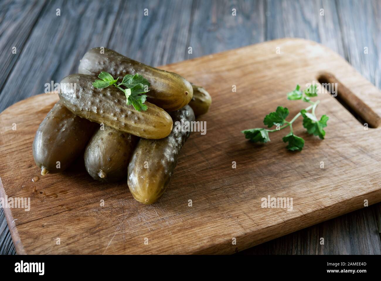 Marinated cucumbers gherkins. Pickled cucumbers with parsley in a bowl