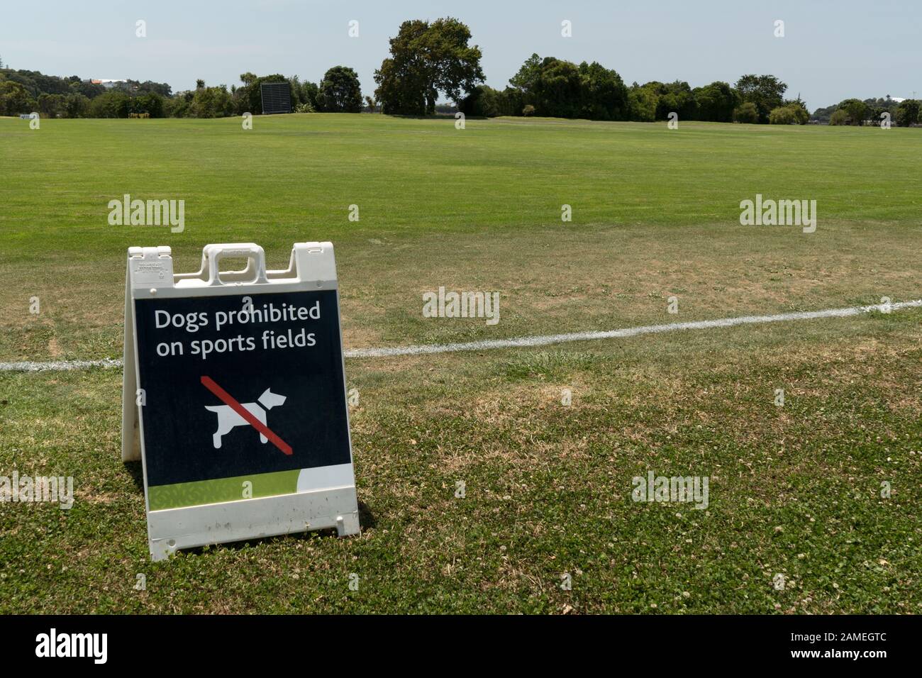 Dogs prohibited on sports field portable plastic sign grass cricket pitch Parnell cricket club, Parnell, Auckland, New Zealand. Stock Photo