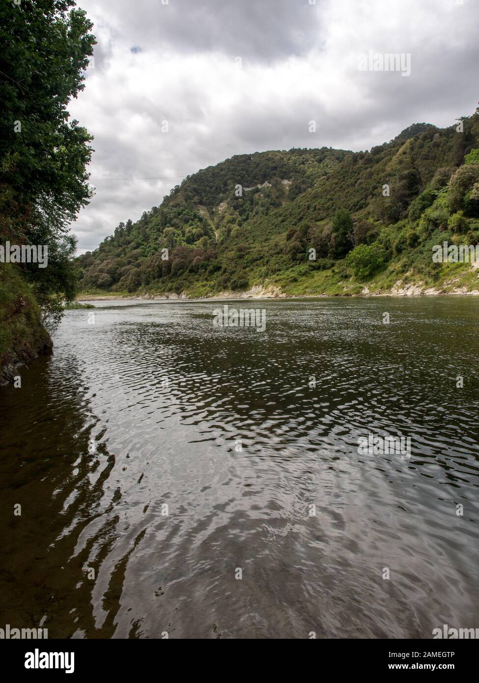 Whanganui River, Ranana, North Island, New Zealand Stock Photo