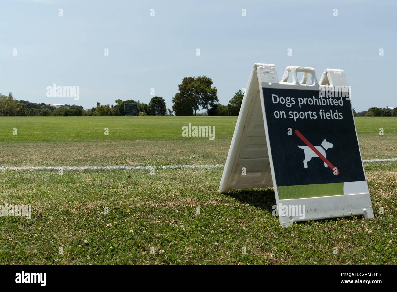 Dogs prohibited on sports field portable plastic sign grass cricket pitch Parnell cricket club, Parnell, Auckland, New Zealand. Stock Photo