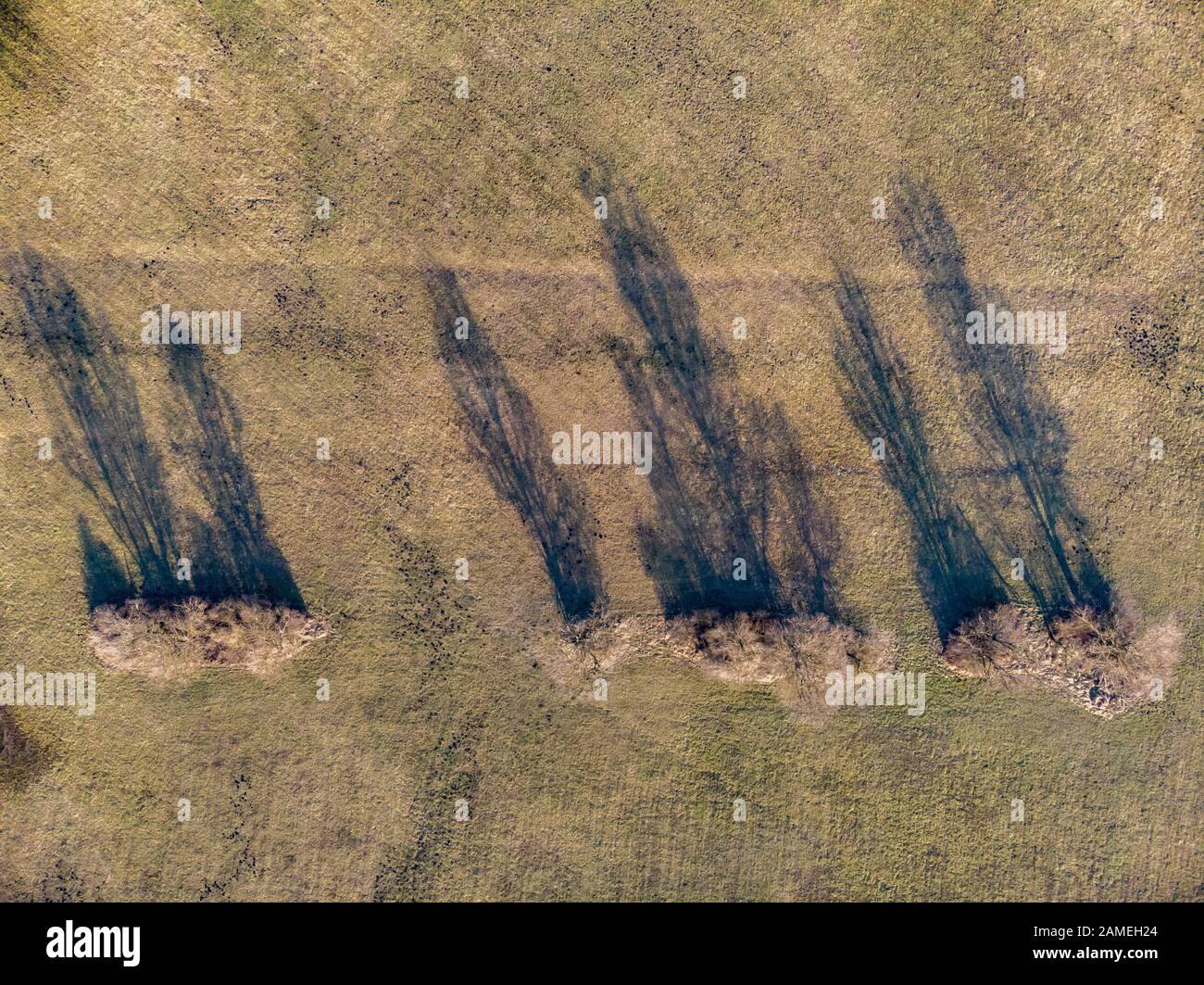 Aerial flying over top trees hi-res stock photography and images - Alamy