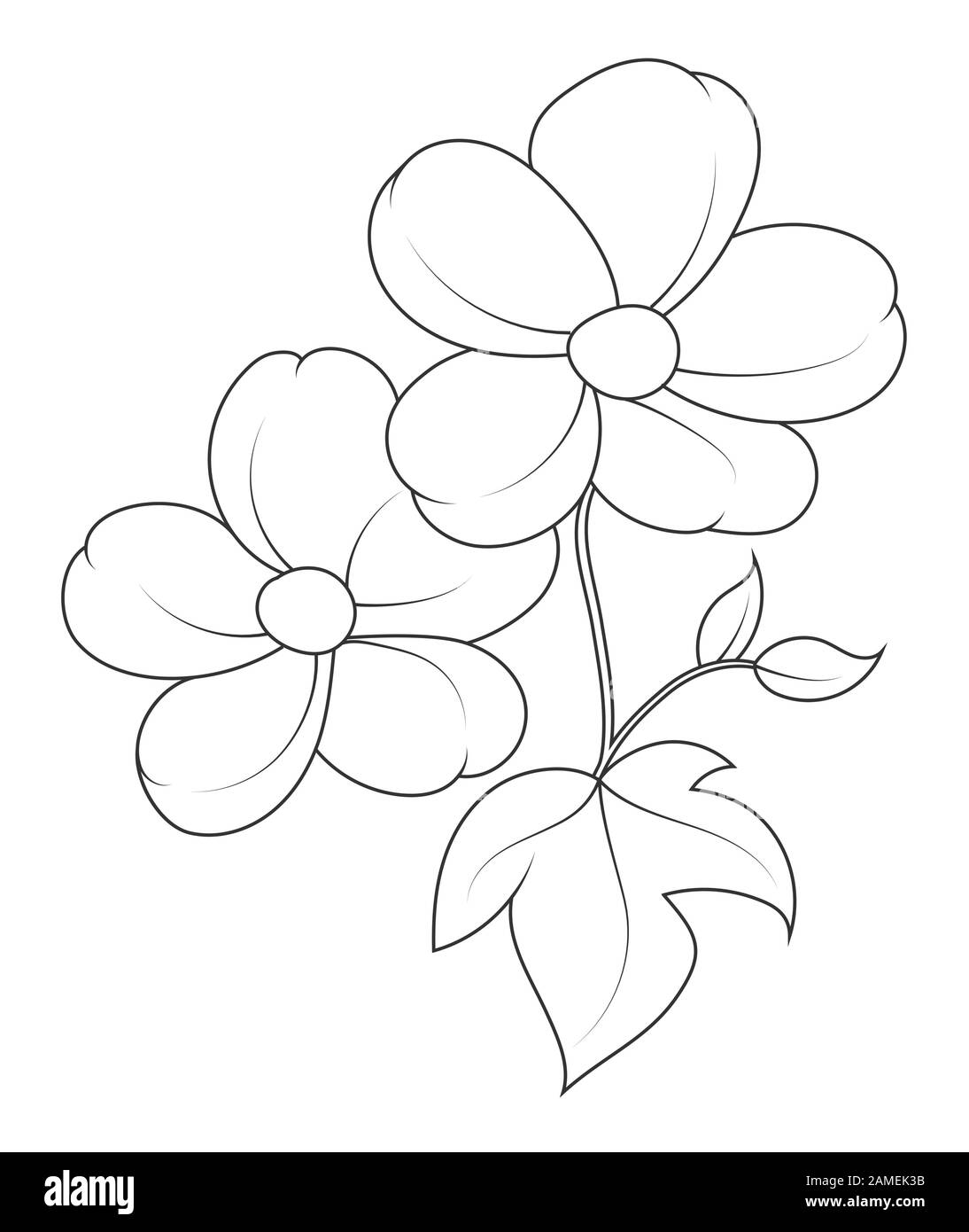 Vector outline empty flower silhouette isolated on white background for