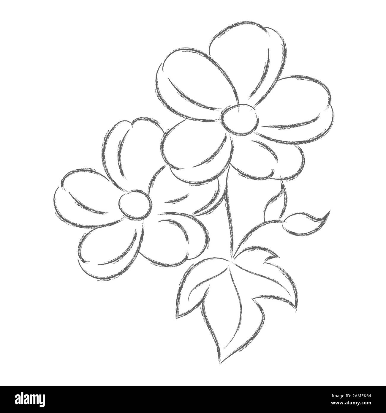 Vector pencil drawing of a flower with leaves isolated on a white ...