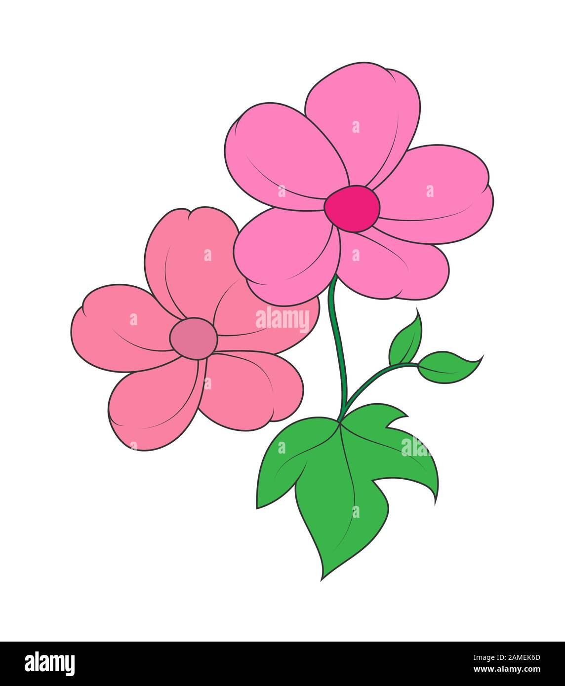Vector colored silhouette of a beautiful flower isolated on a white