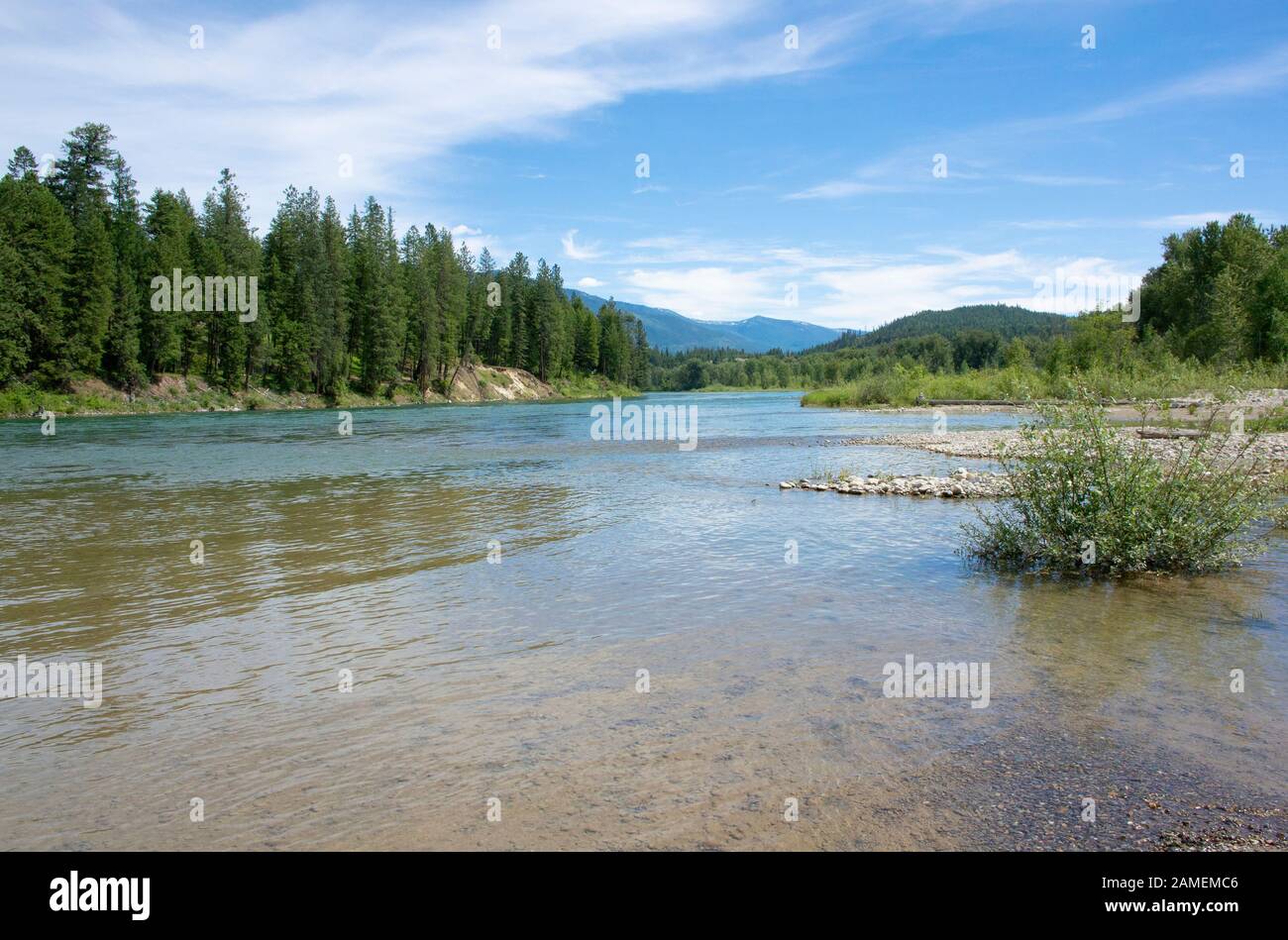 Looking up the Kootenai River above Callahan Creek, on a warm summer ...