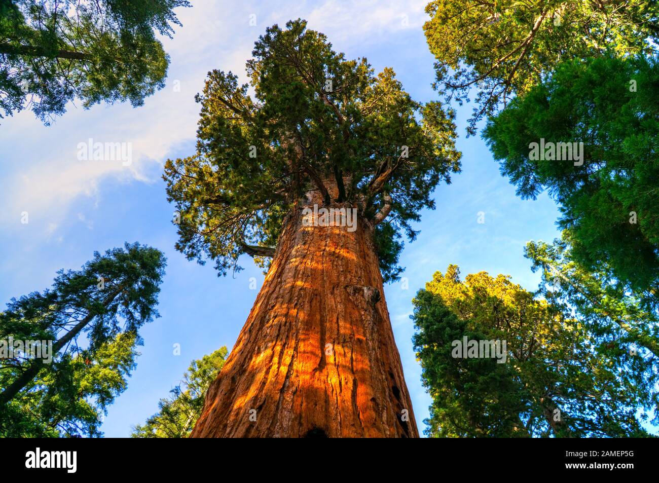 Natural valley of the Sequoia National Park at sunset, California, USA. Stock Photo