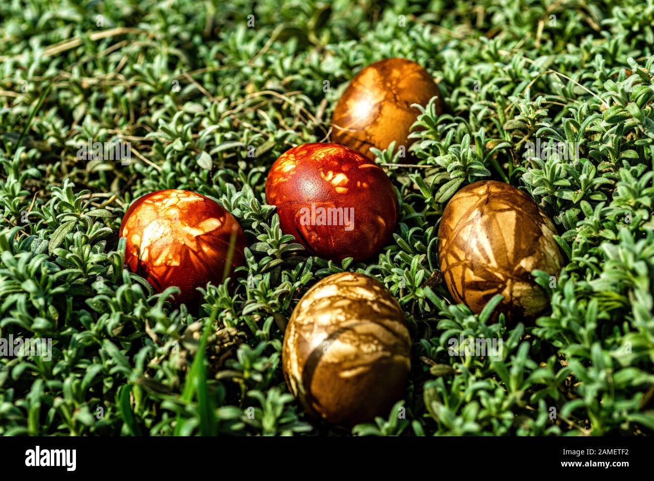Multicolored easter eggs in green grass. Easter concept - image Stock Photo