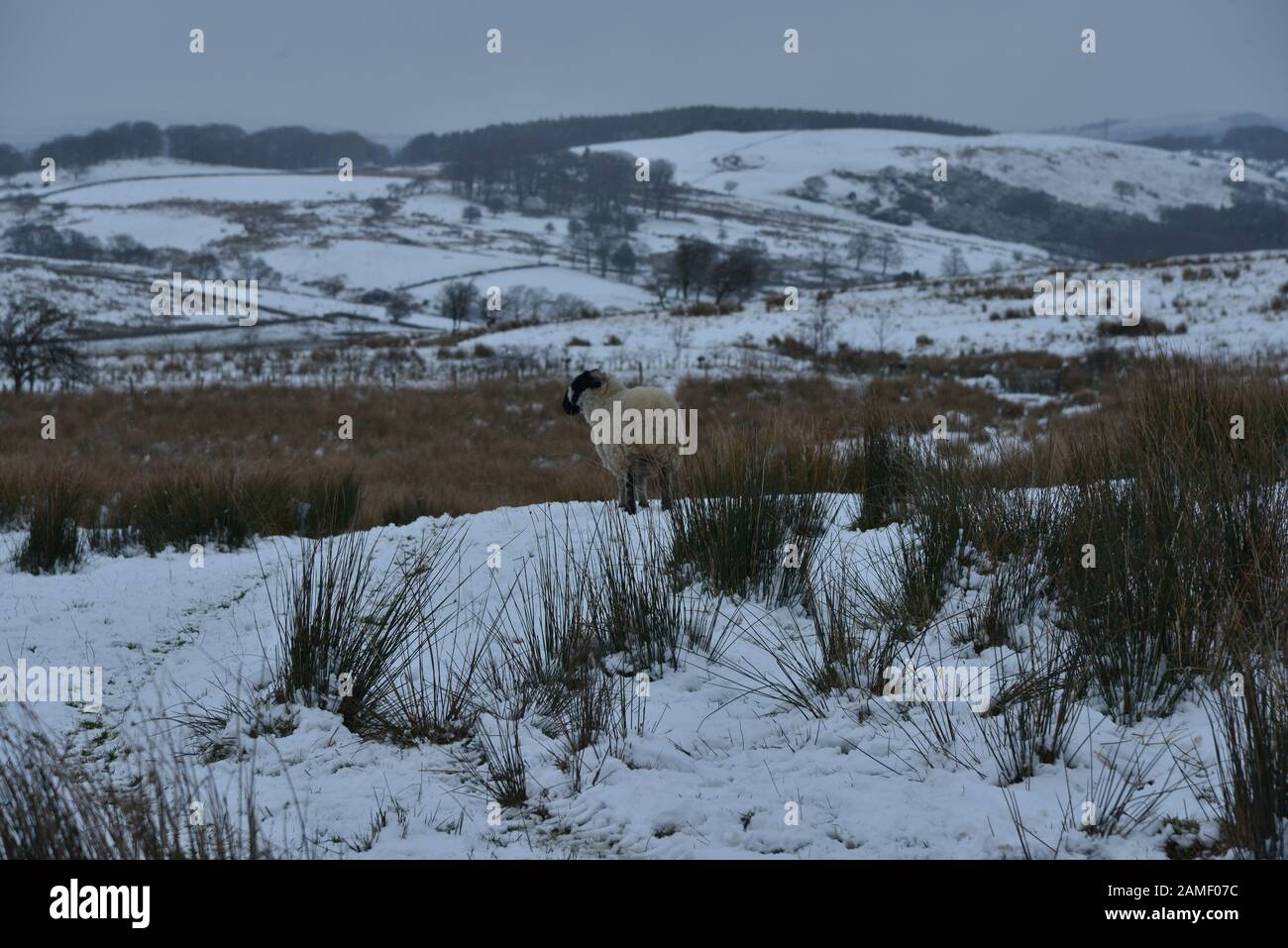 Dean Clough Stock Photo