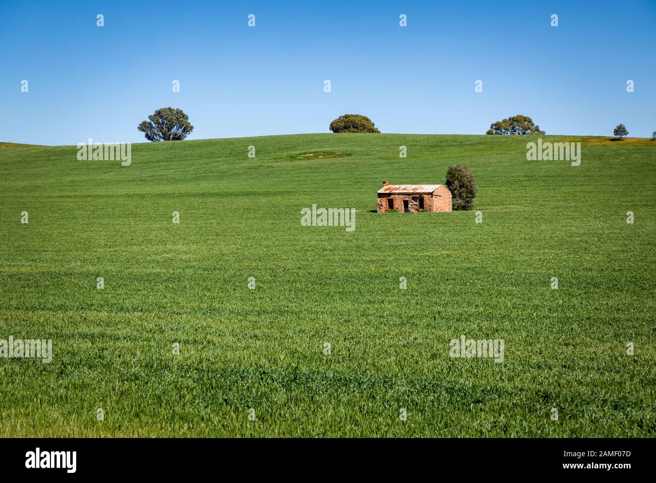 Why the Ruin of South Lebanon is a Strategic Mirage