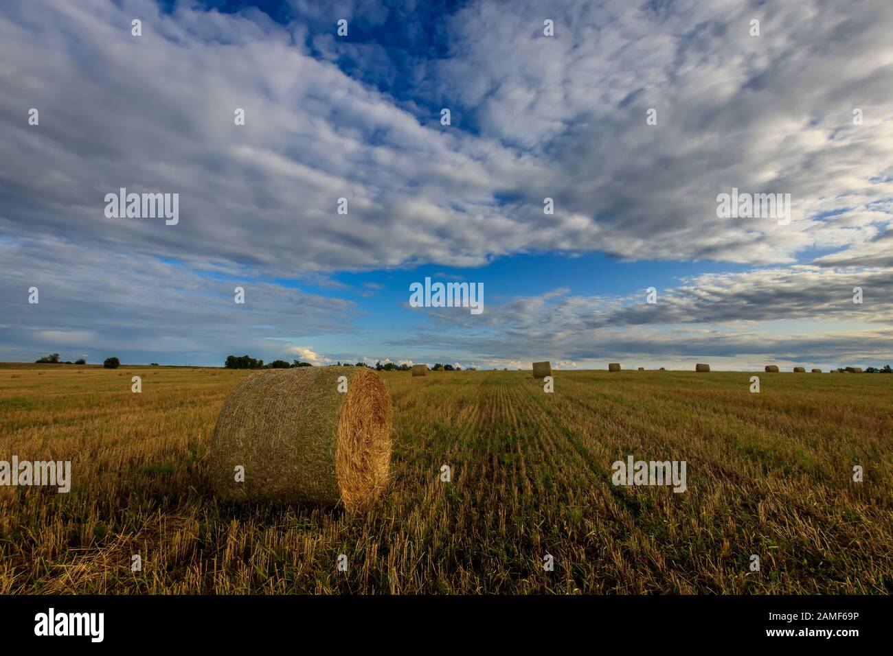 Haystacks on the field in Autumn season. Rural landscape with cloudy ...