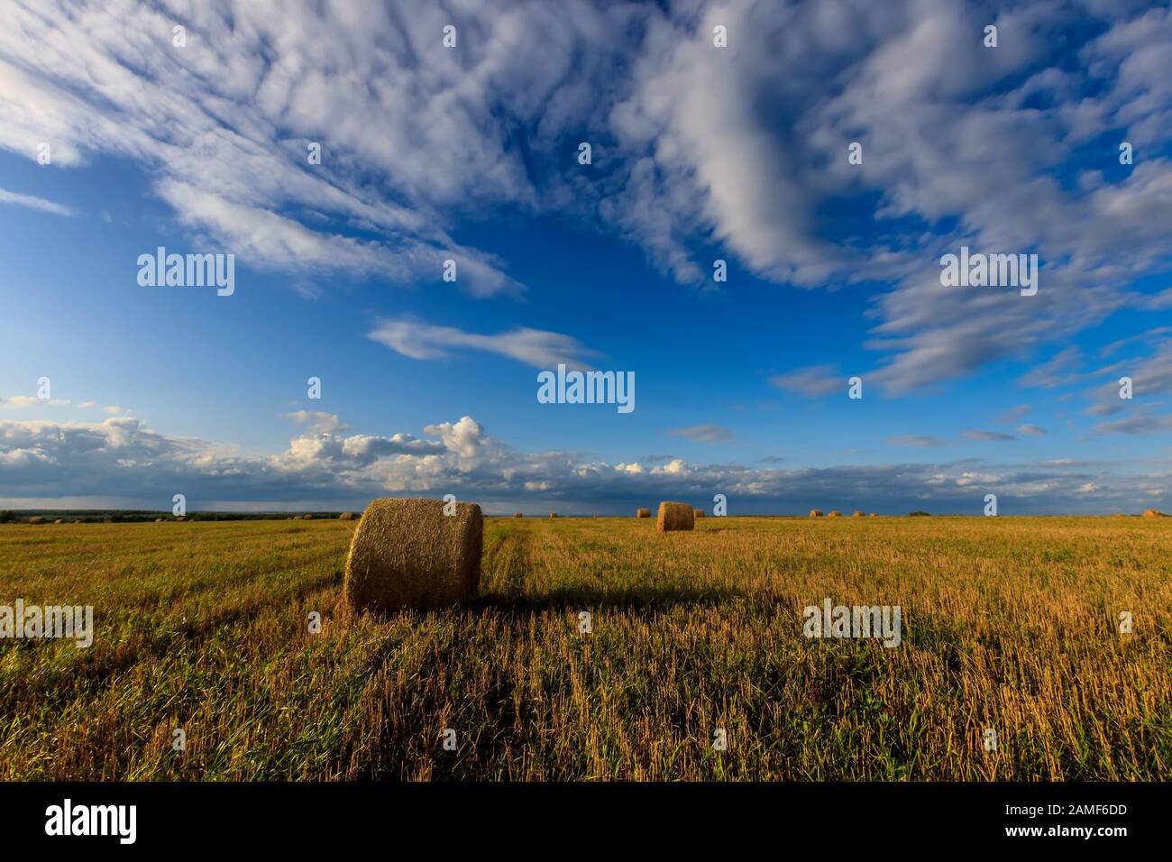 Haystacks on the field in Autumn season. Rural landscape with cloudy ...