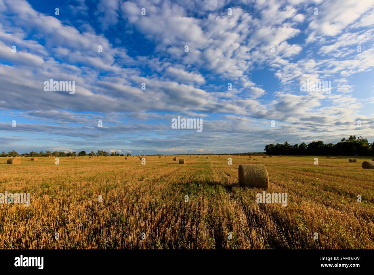 Haystacks on the field in Autumn season. Rural landscape with cloudy ...