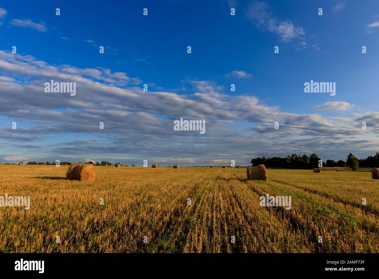 Haystacks on the field in Autumn season. Rural landscape with cloudy ...