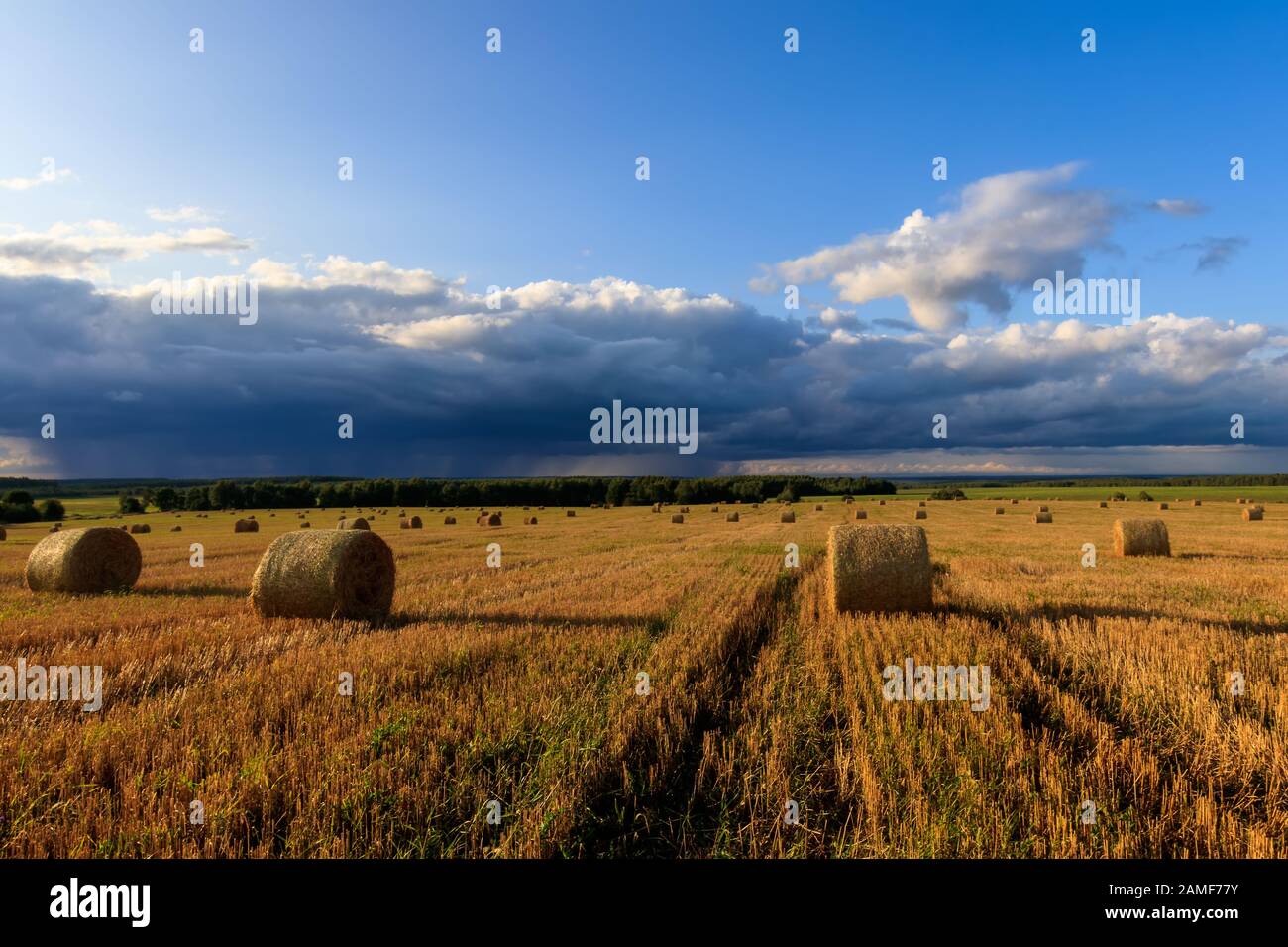 Haystacks on the field in Autumn season. Rural landscape with cloudy ...