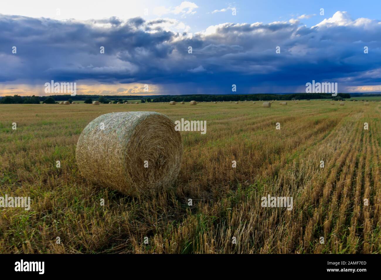Haystacks on the field in Autumn season. Rural landscape with cloudy ...