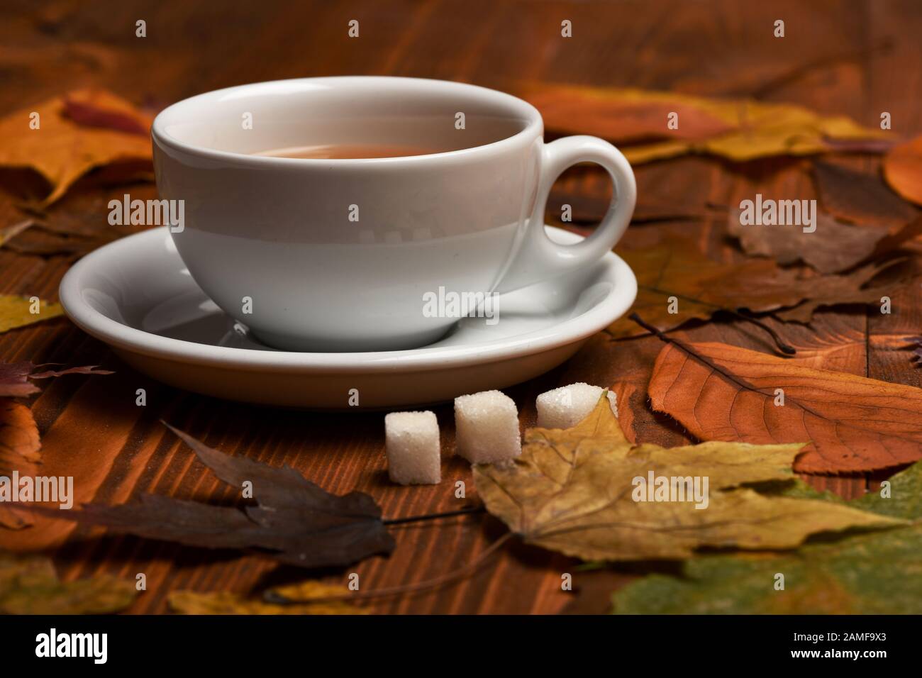 Hot Beverage With Sugar Cubes On Wooden Background Close Up Tea Cup On Saucer Making Autumn Composition Autumn Warm Drink Concept Cup Of Green Tea With Slice Of Lemon Put Near Beautiful