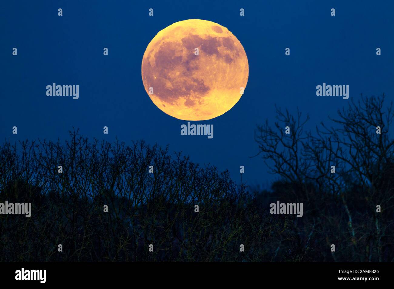 Moon In Early Evening High Resolution Stock Photography And Images Alamy