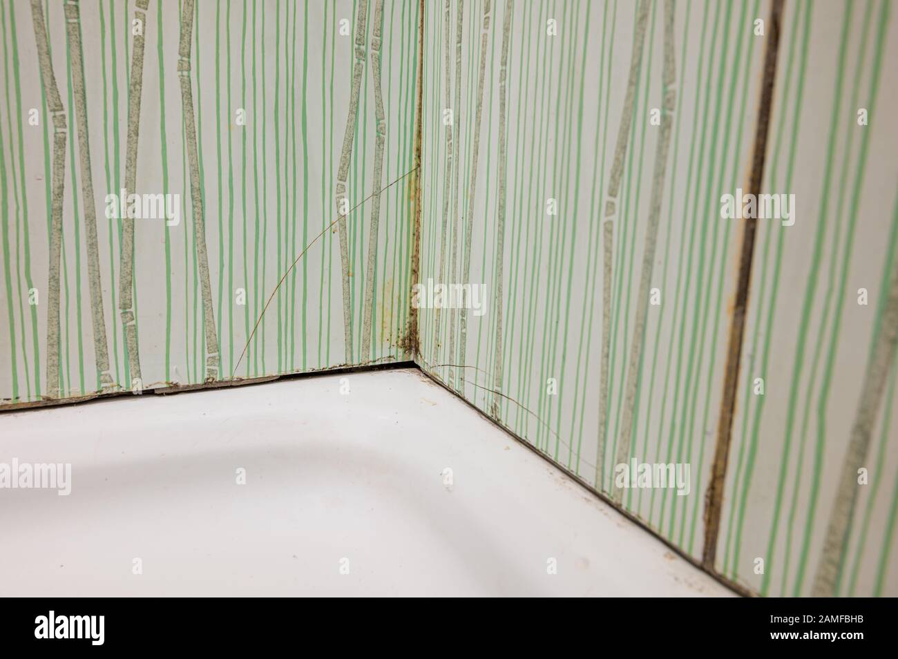 Severe case of bathroom mold causing tiles to crack Stock Photo Alamy