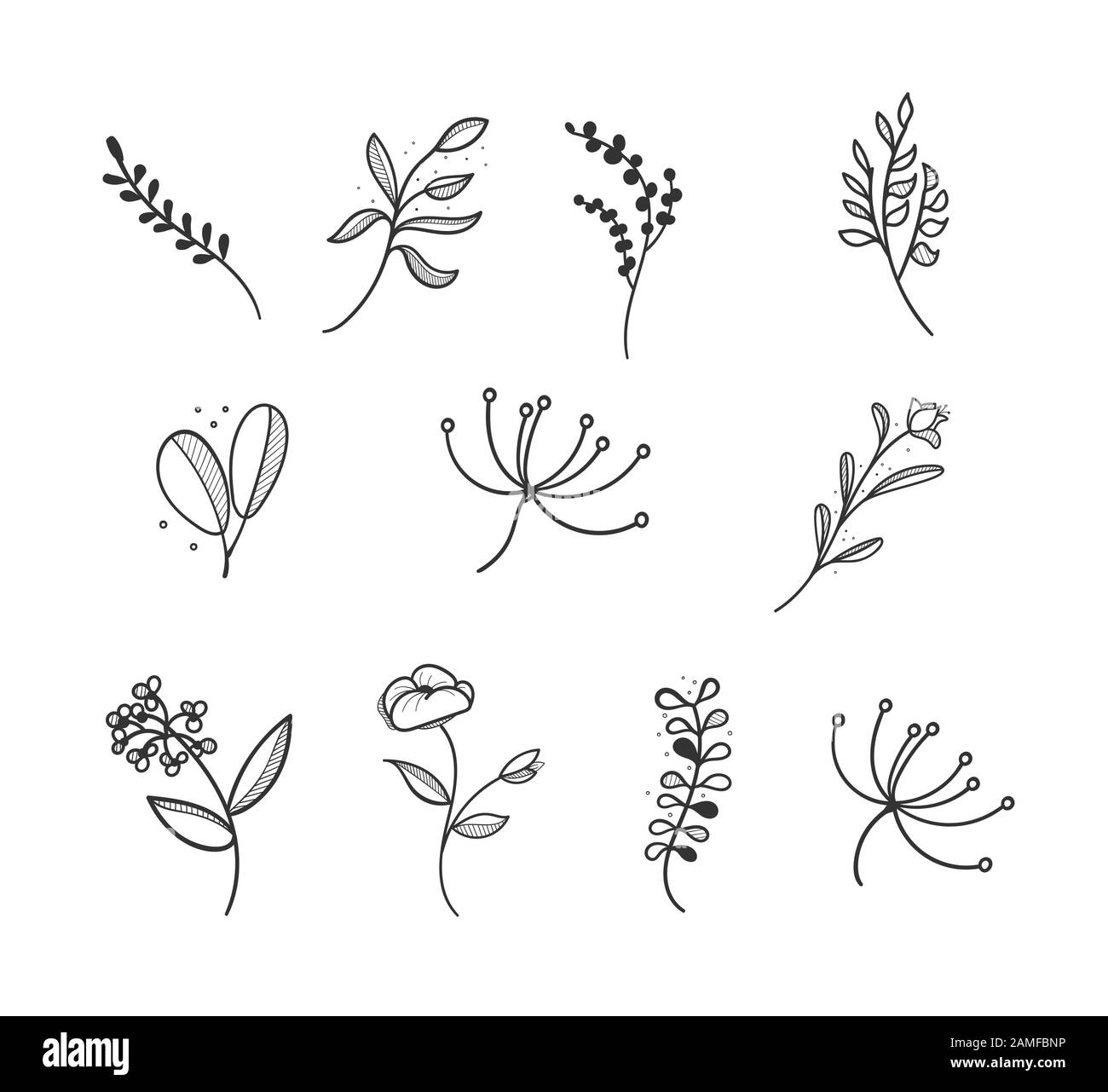 Botanical logo outline drawing vecctor in set Stock Vector Image & Art ...