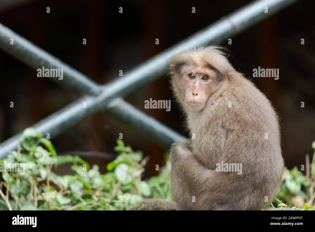 Boating area periyar hi-res stock photography and images - Alamy