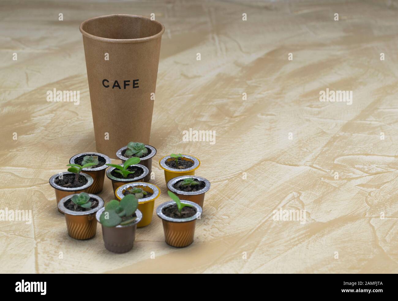 Recyclable cardboard coffee cup next to coffee capsules made plant pots Stock Photo Alamy