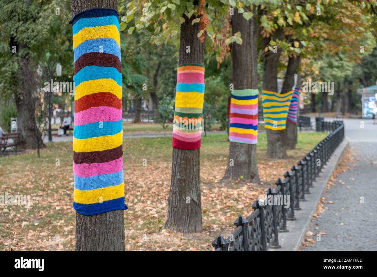 Trees wearing colorful knitted scarves in autumn park. Care about nature and environment concept. Stock Photo