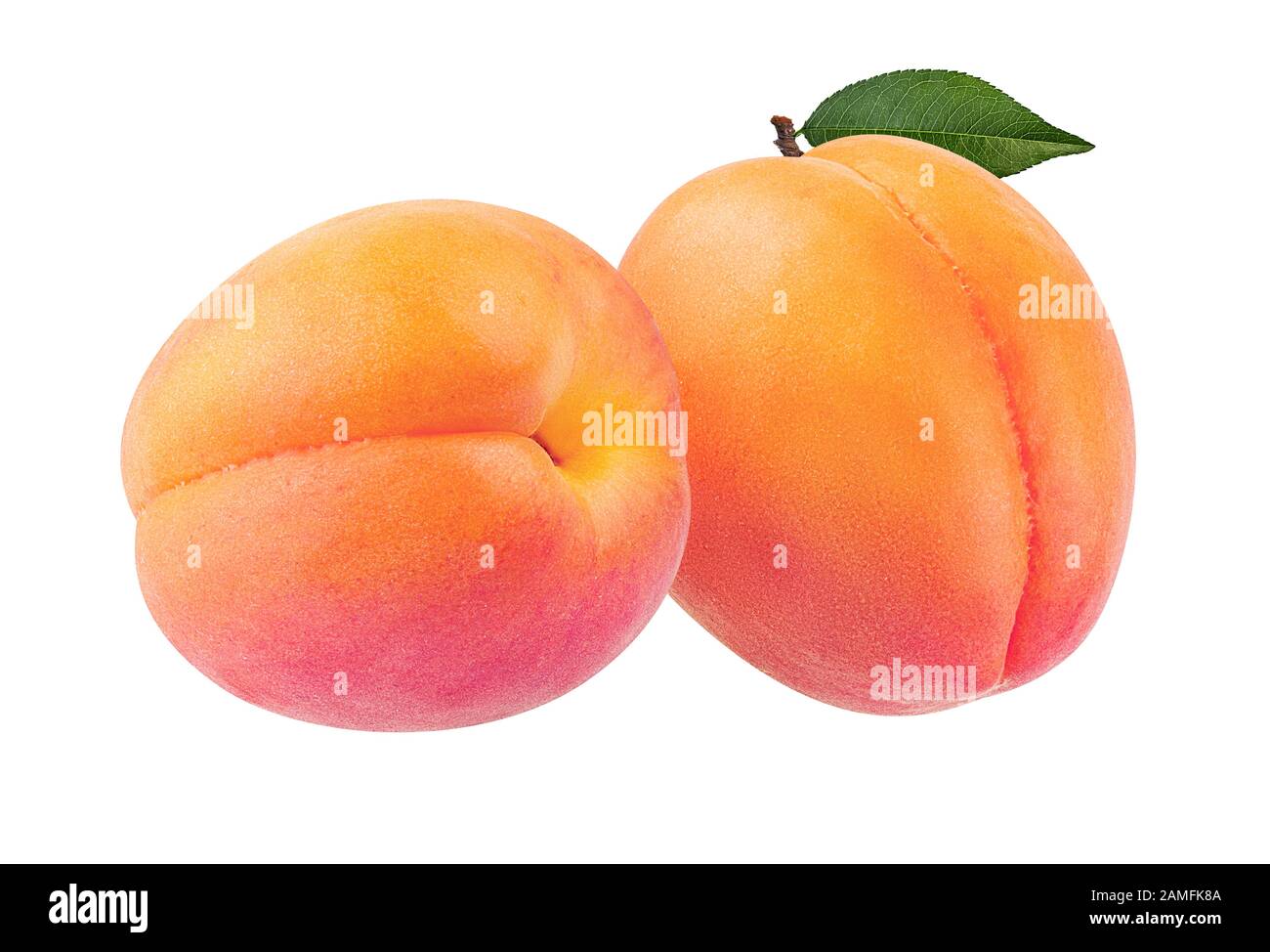apricot isolated on white background Stock Photo - Alamy