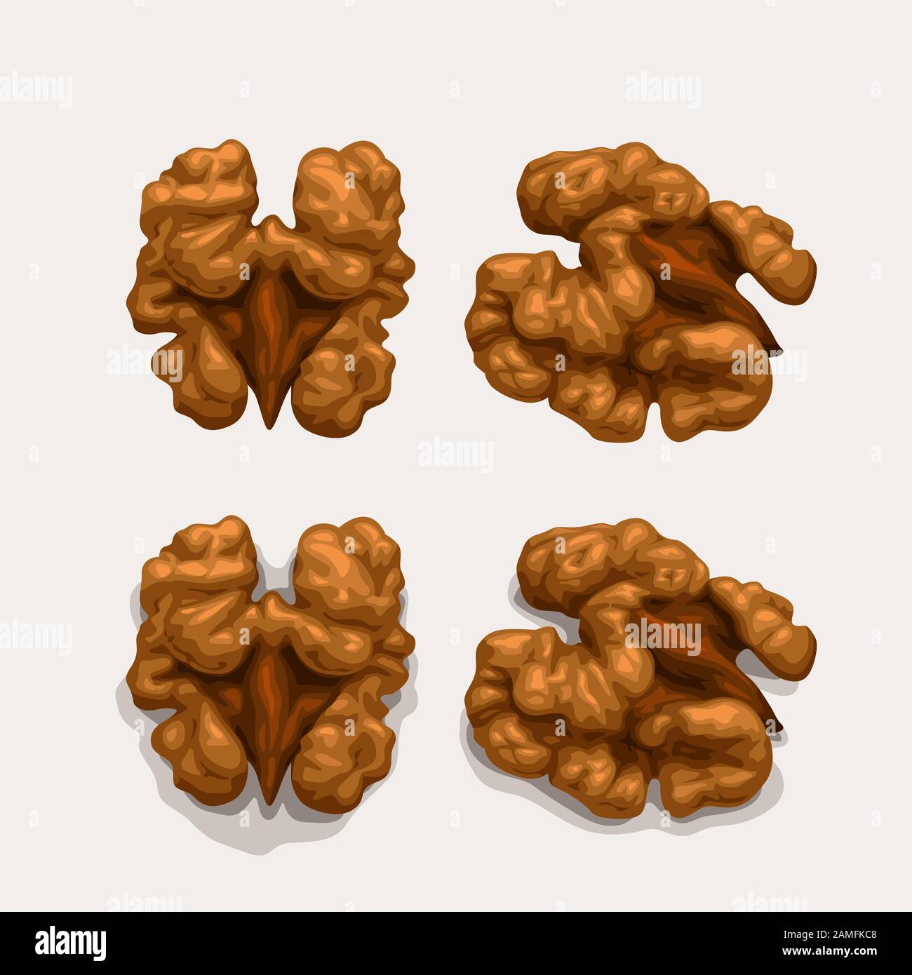 walnuts set isolated on white Stock Vector