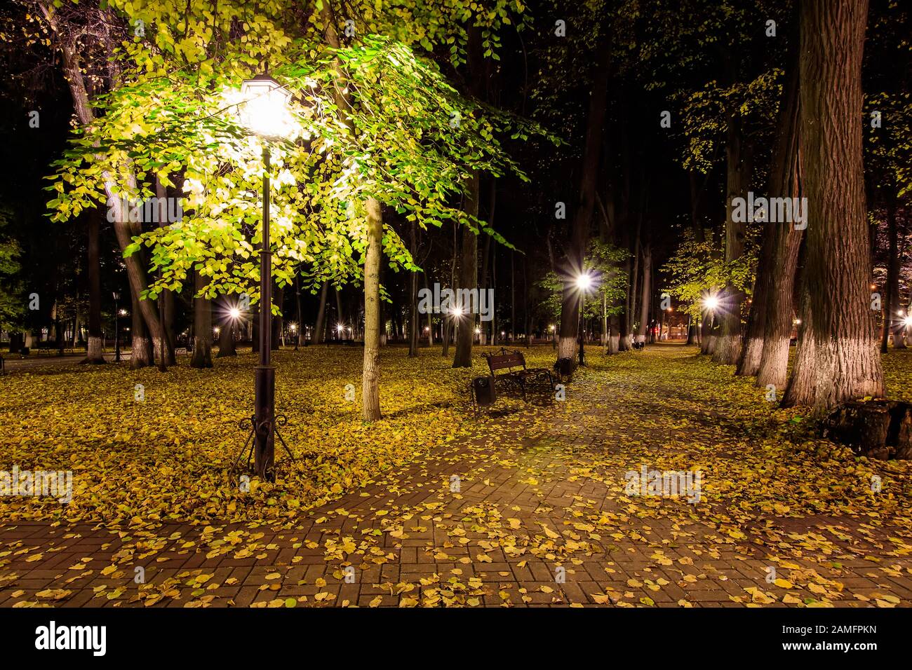 City night park in autumn with paths strewn, fallen yellow leaves ...