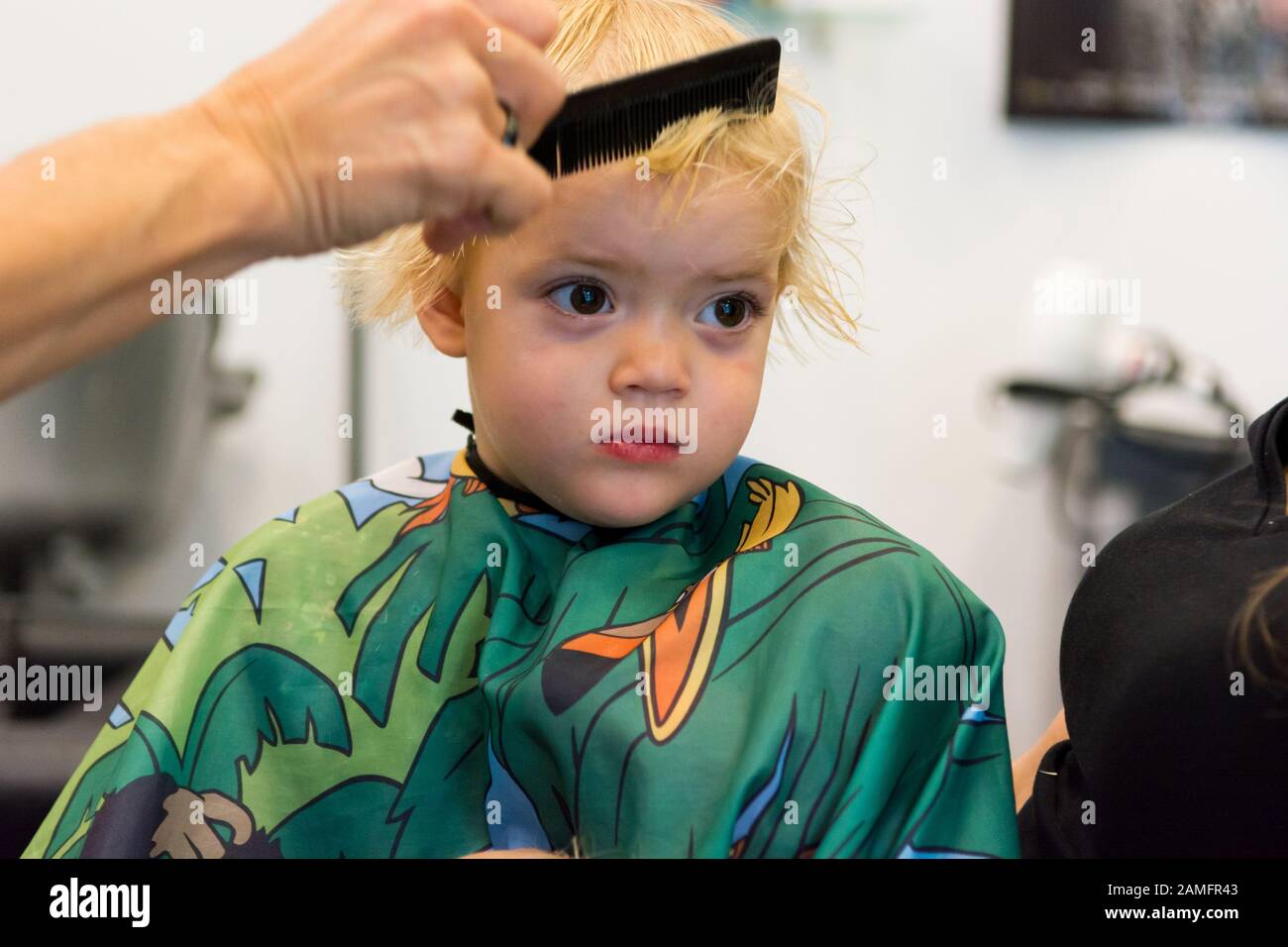 Cute Blonde Girl Having Her First Haircut Stock Photo 339637539