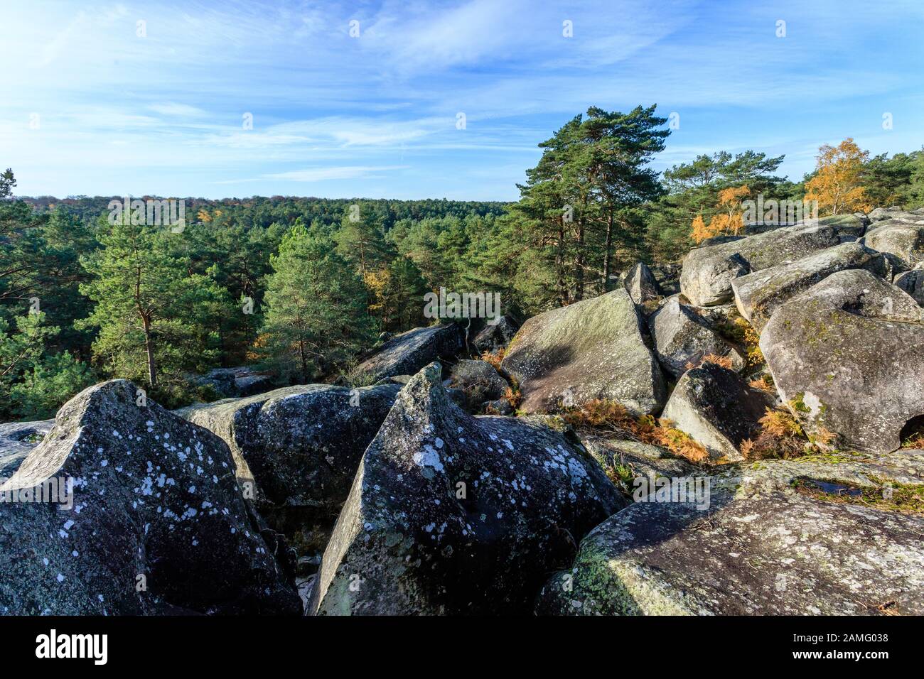 France, Seine et Marne, Fontainebleau, Fontainebleau forest, Fontainebleau and Gatinais Biosphere Reserve by UNESCO, Gorges de Franchard, rocky chaos Stock Photo