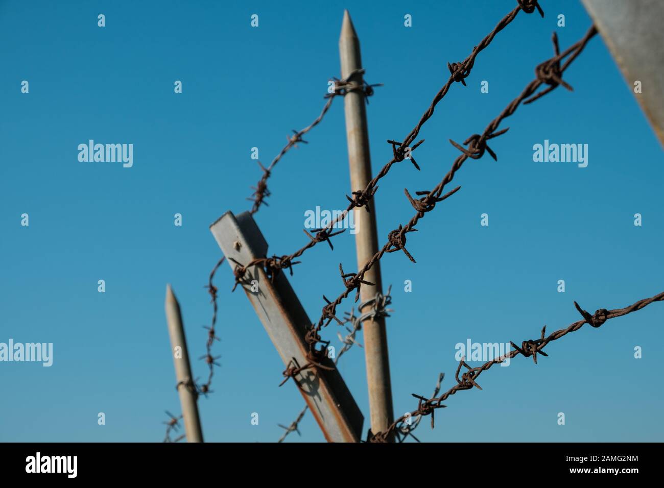 barbwire closeup on fence, barbed wire on blue sky - Stock Photo