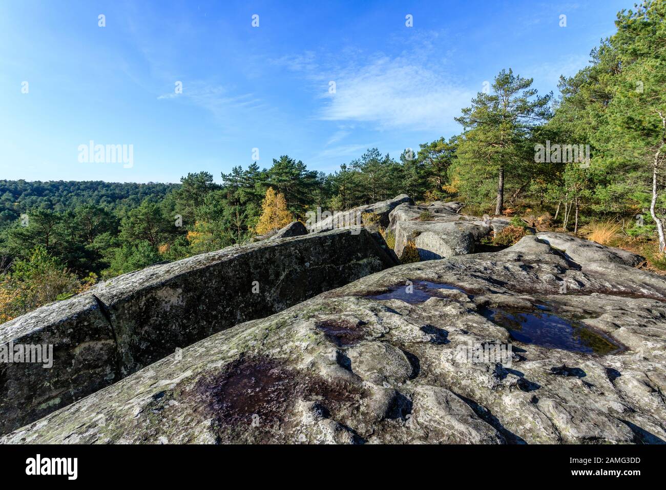France, Seine et Marne, Fontainebleau, Fontainebleau forest, Fontainebleau and Gatinais Biosphere Reserve by UNESCO, Gorges de Franchard, rocky chaos Stock Photo