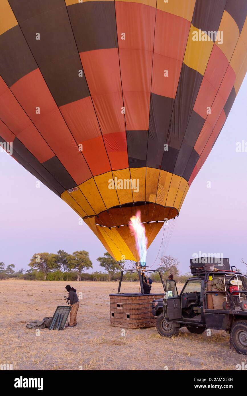 Hot air balloon being inflated at dawn, Bushman Plains, Okavanago Delta, Botswana Stock Photo