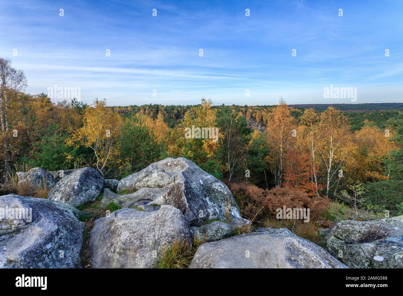 France, Seine et Marne, Fontainebleau, Fontainebleau forest, Fontainebleau and Gatinais Biosphere Reserve by UNESCO, Gorges d'Apremont // France, Sein Stock Photo