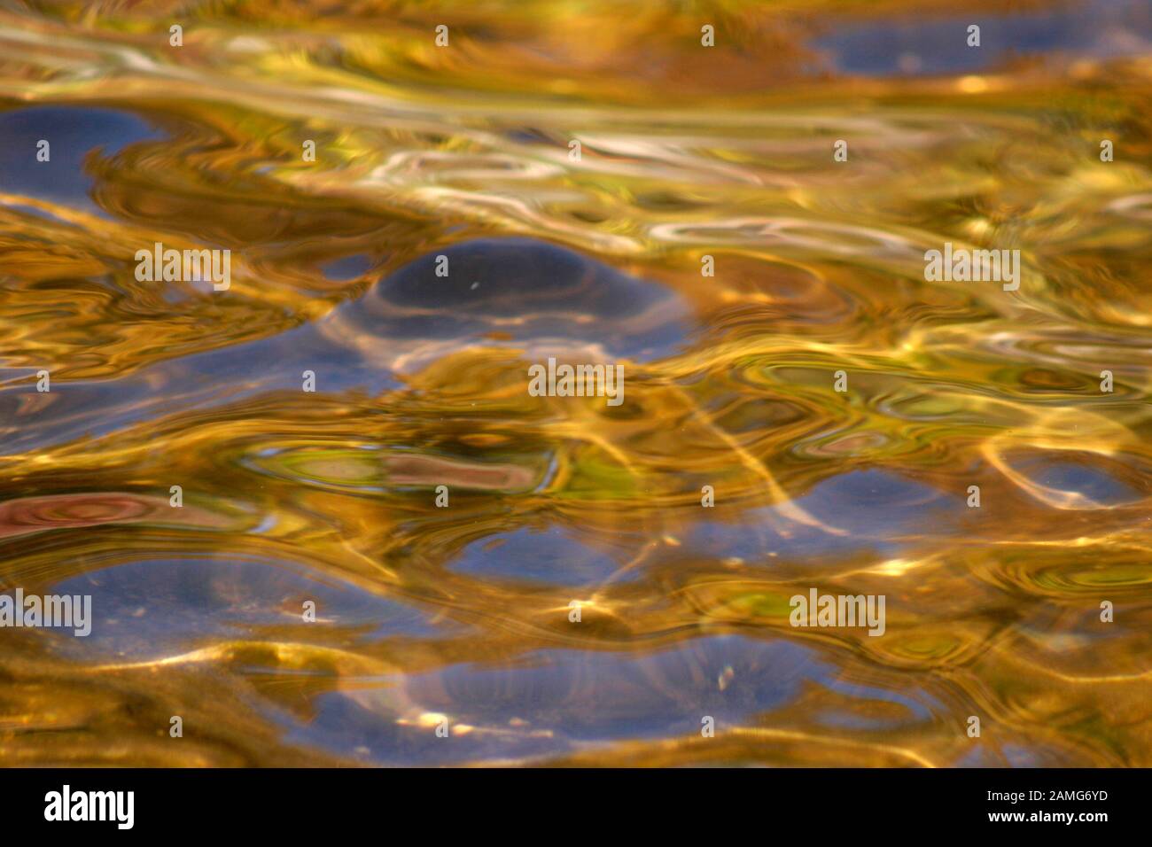 Golden reflections on the water's surface Stock Photo - Alamy