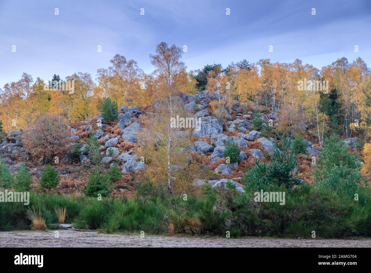 France, Seine et Marne, Fontainebleau, Fontainebleau forest, Fontainebleau and Gatinais Biosphere Reserve by UNESCO, Gorges d'Apremont, rocky chaos // Stock Photo