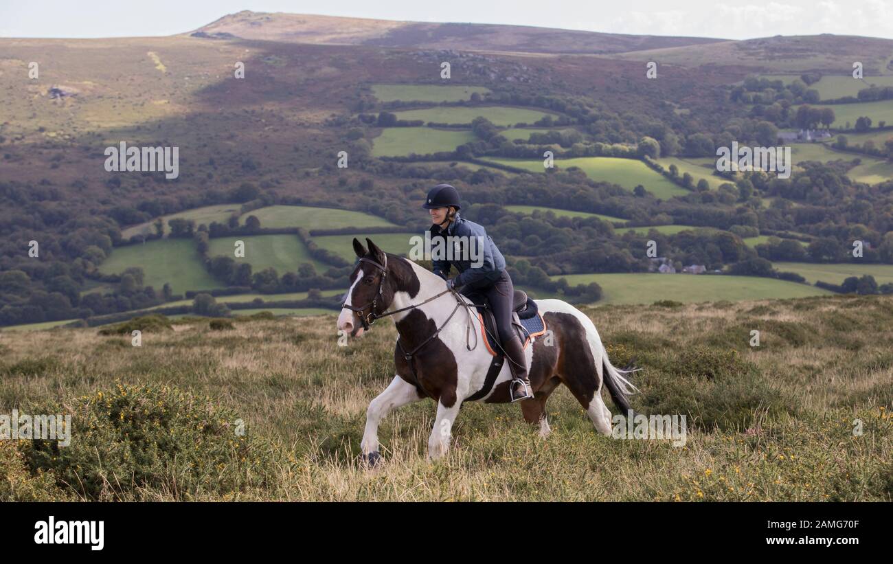 Horse Riding on Dartmoor Stock Photo Alamy