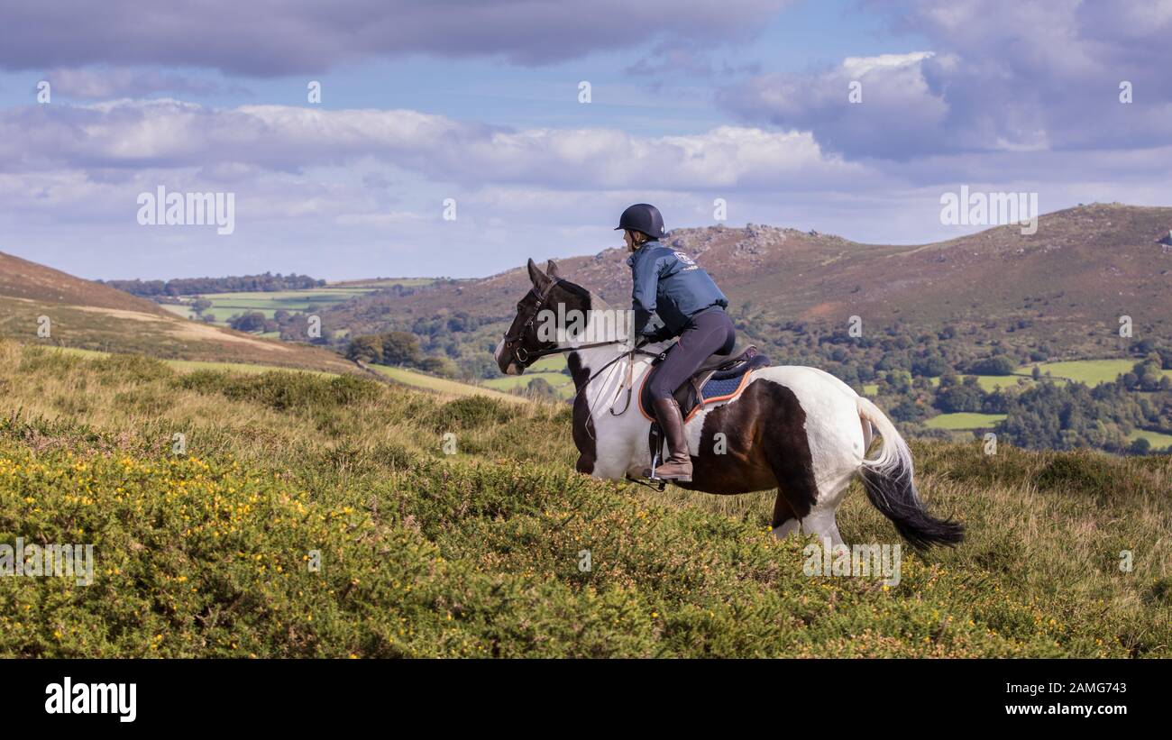 Horse Riding on Dartmoor Stock Photo Alamy