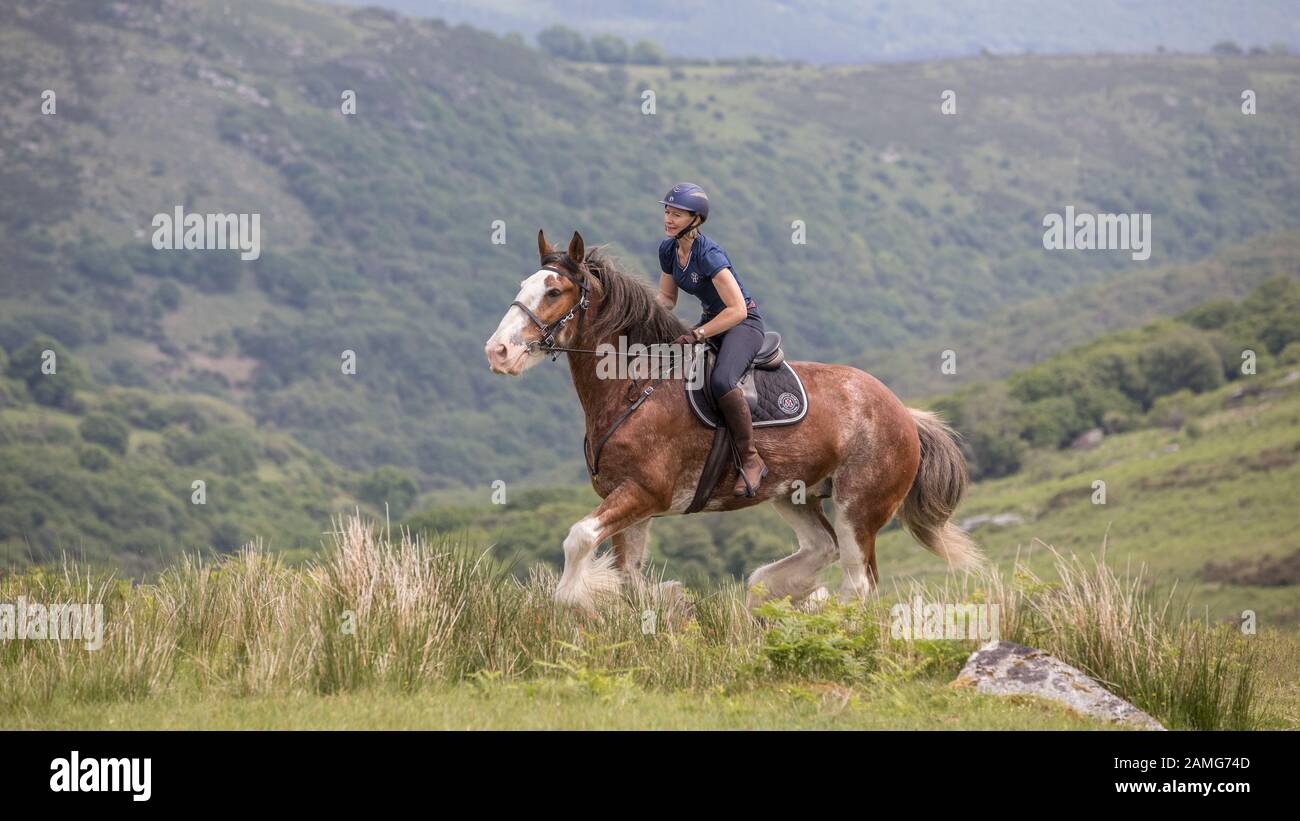 Horse Riding on Dartmoor Stock Photo Alamy