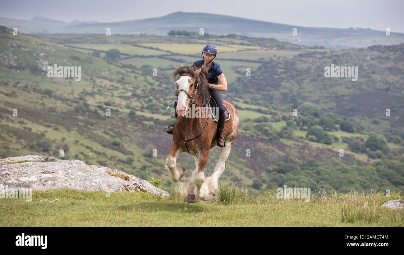 Horse Riding on Dartmoor Stock Photo Alamy
