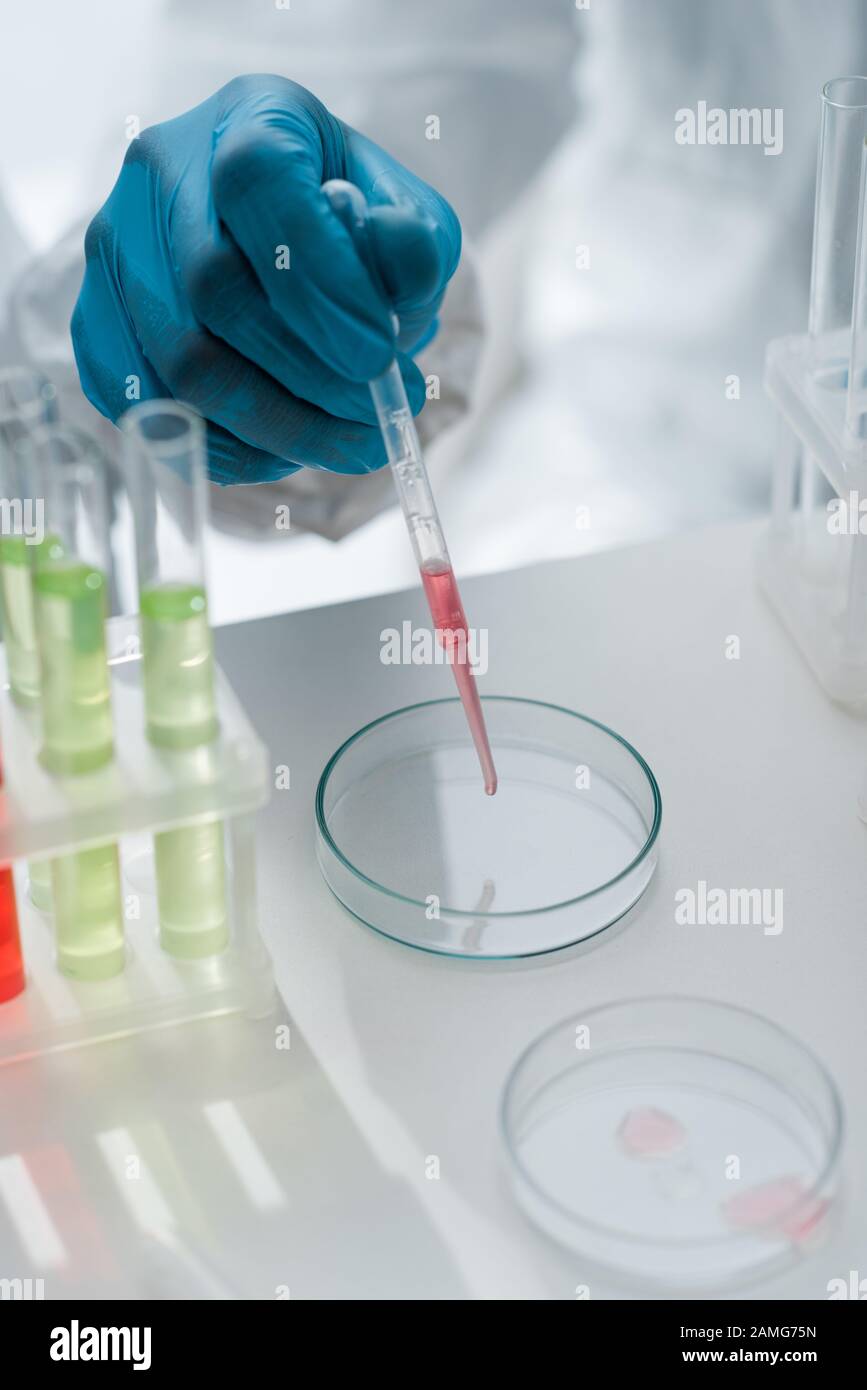 cropped view of scientist in latex glove doing dna test in lab Stock Photo