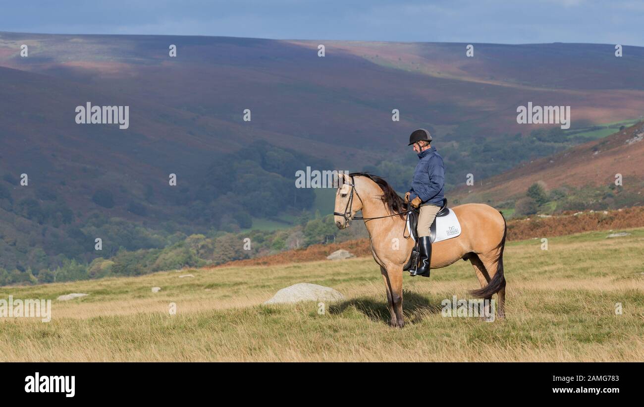 Horse Riding on Dartmoor Stock Photo Alamy