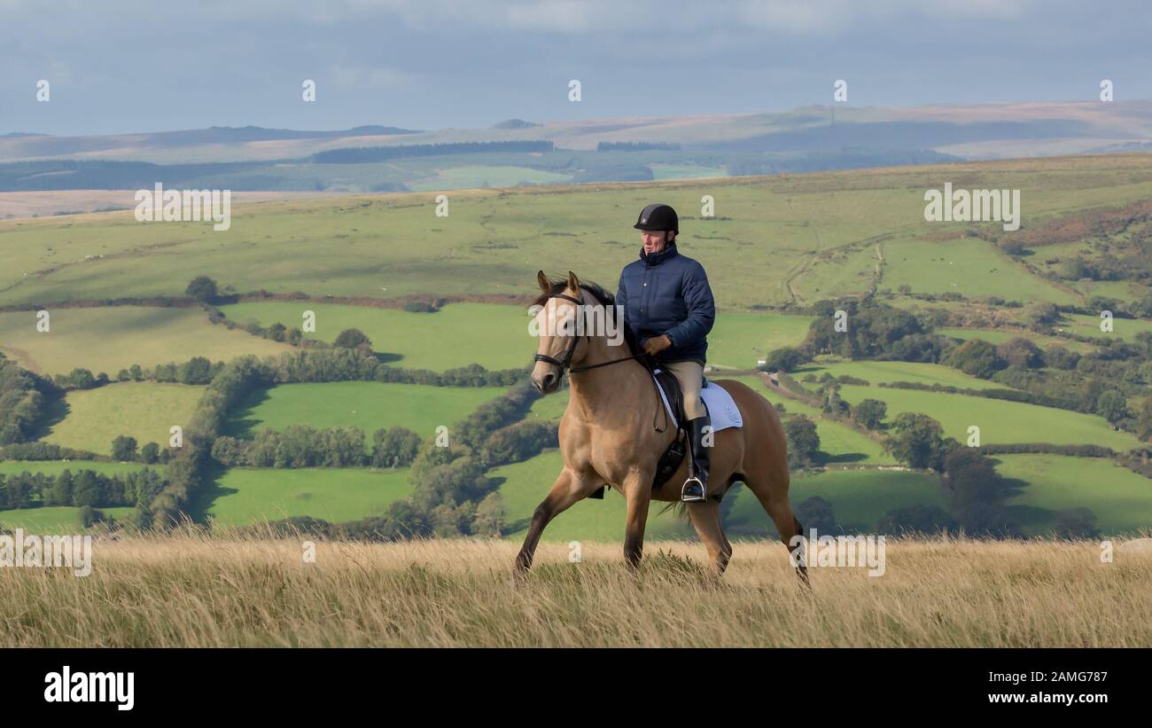 Horse Riding on Dartmoor Stock Photo Alamy