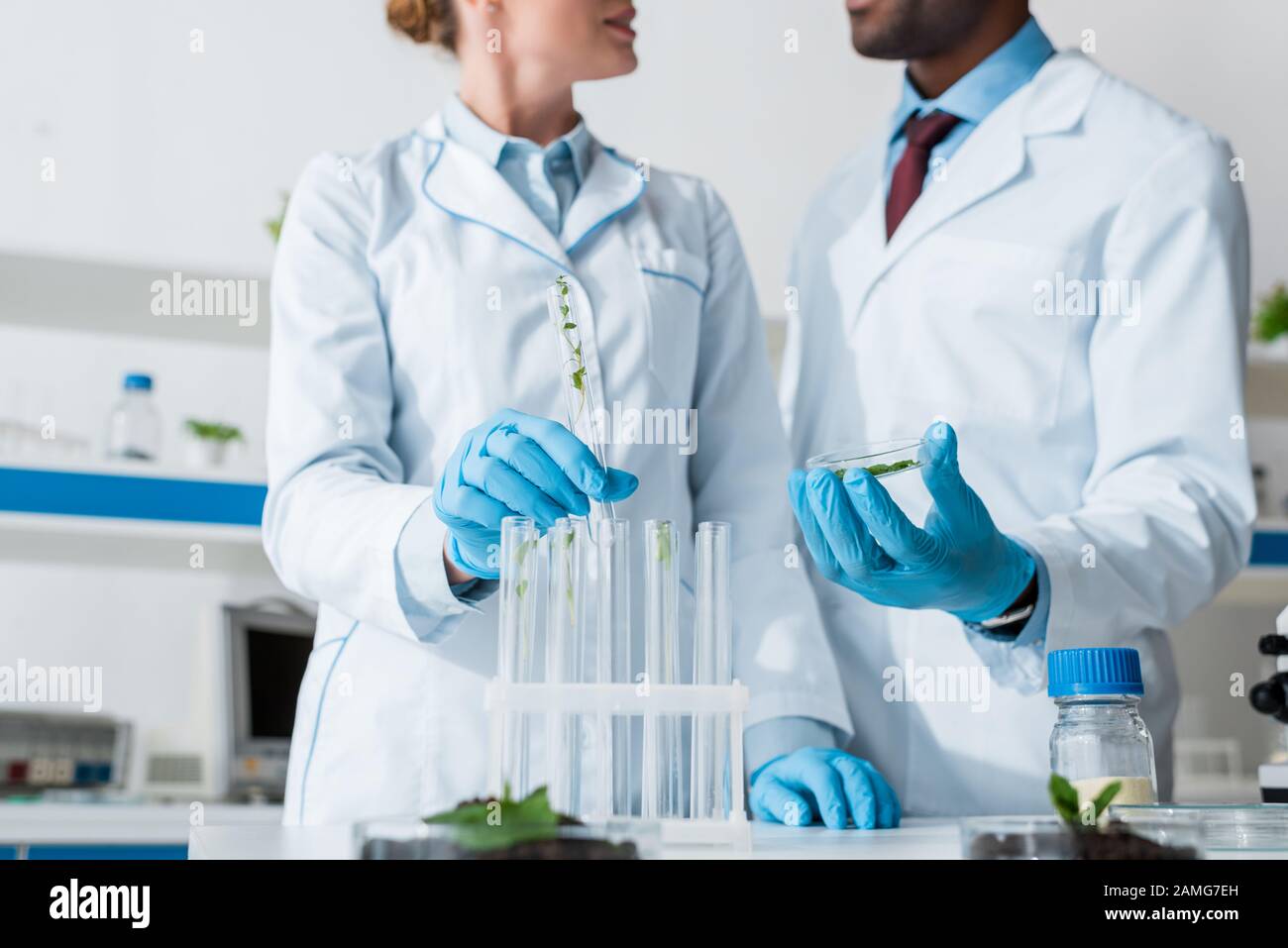 Two biologists man woman hi-res stock photography and images - Alamy