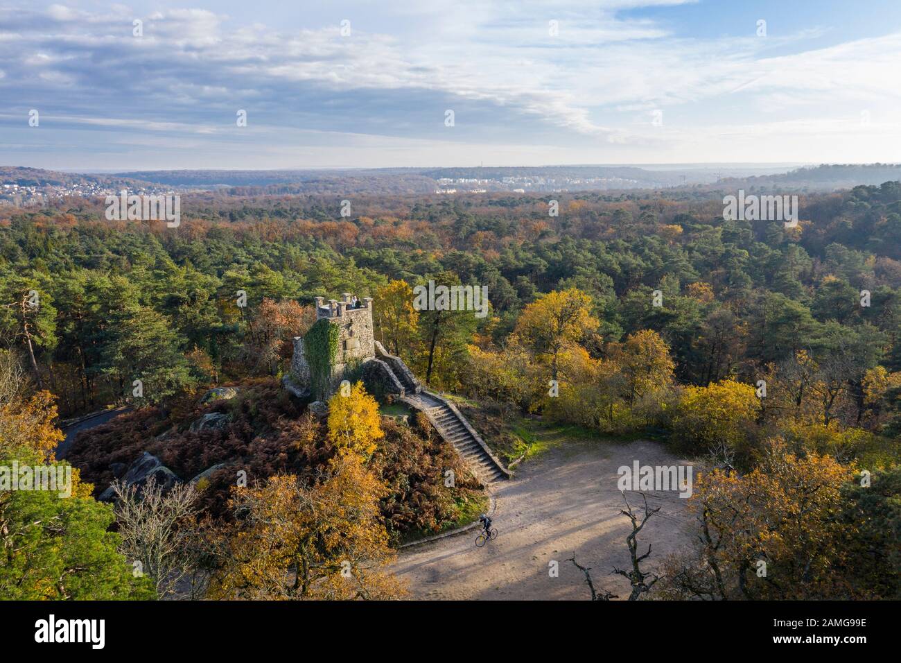 France, Seine et Marne, Fontainebleau, Fontainebleau forest