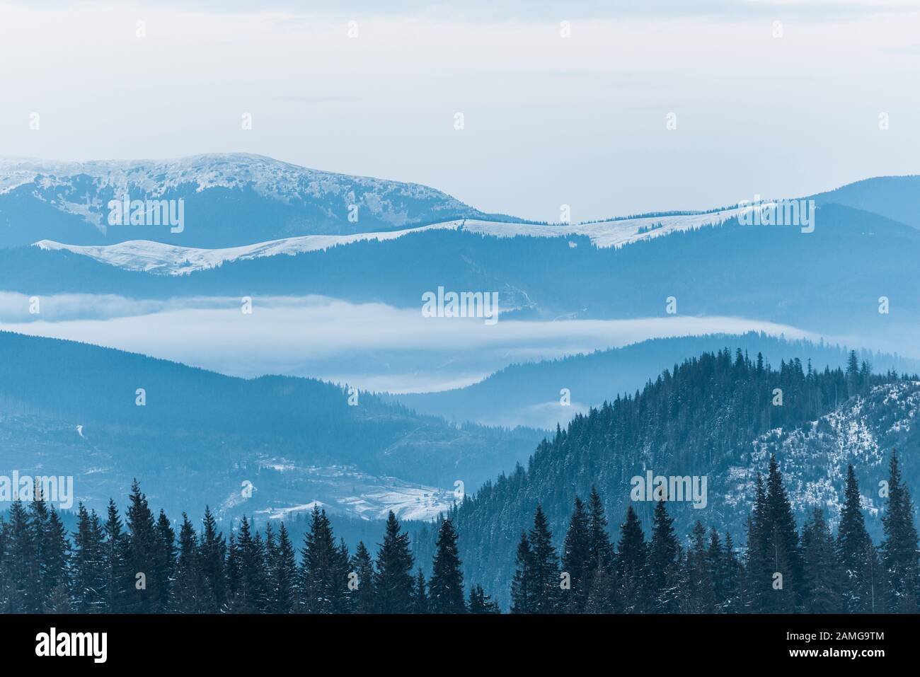 scenic view of snowy mountains with pine trees and cloudy sky Stock ...
