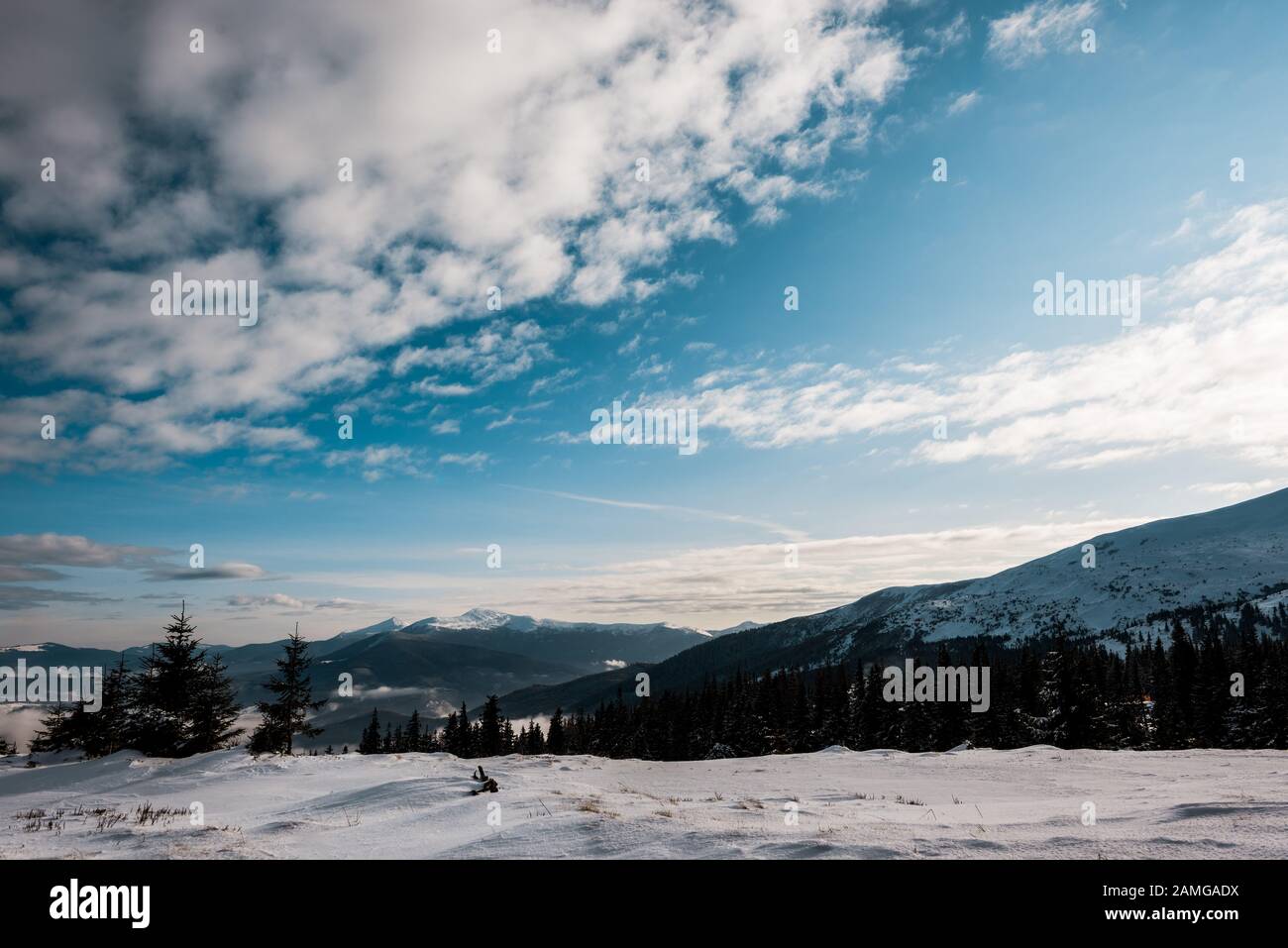 scenic view of snowy mountains with pine trees in white fluffy clouds ...